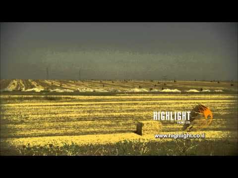 LN 069 Stock footage Israel: Pan right over wheat fields in south Israel at harvest