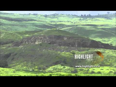 LN 085 Stock footage Israel library: Jordan valley - tilt up from trees and fields to a settlement