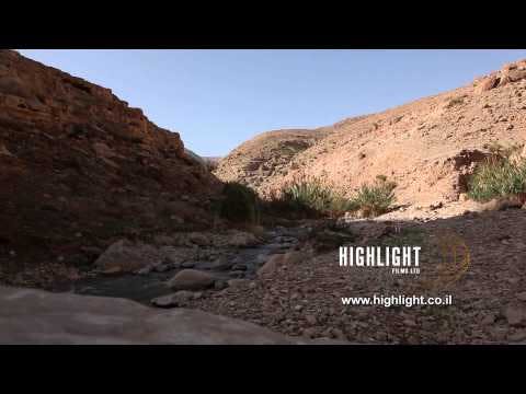 LN 026 Israel stock footage library: A small spring in the Negev Desert