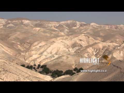 LN 027 Israel stock footage library: A small oasis in the Negev Desert