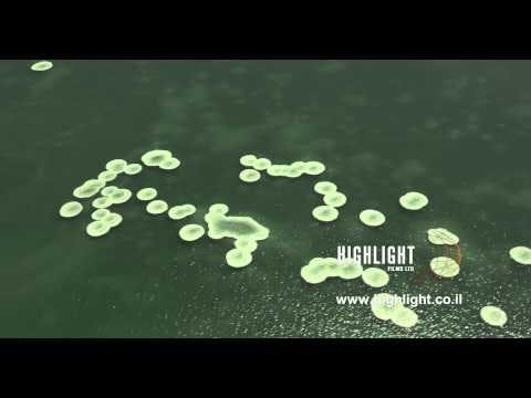 AD4K 026 - Aerial 4K Dead Sea: Circles of Salt in Green Water